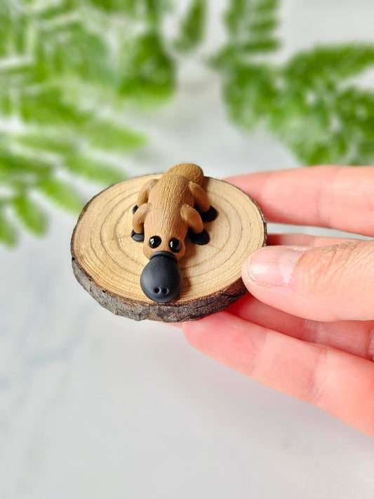 Platypus miniature collectable Australian sculpture