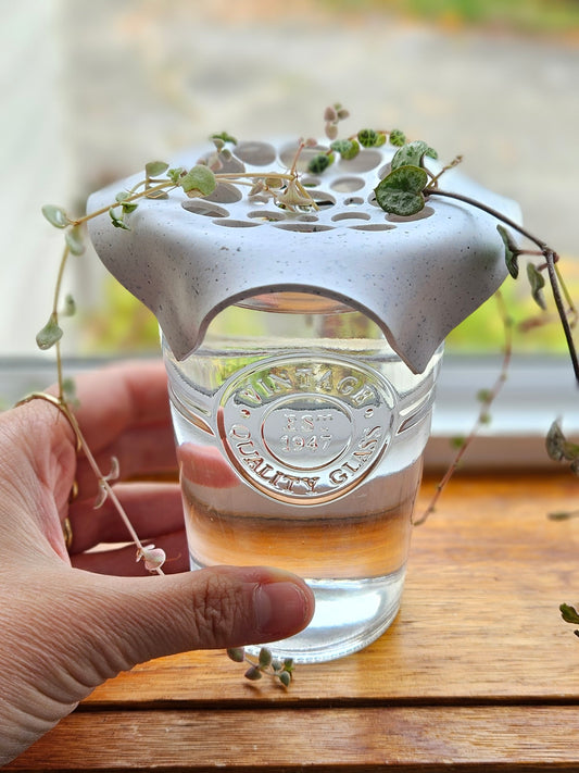 Cutting Keeper - Extra large Vintage glass water propagation station