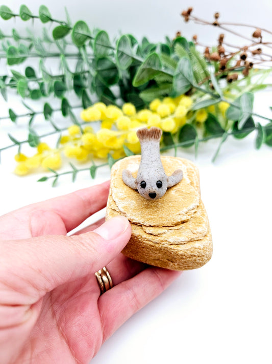 Sammy the seal on rock sculpture