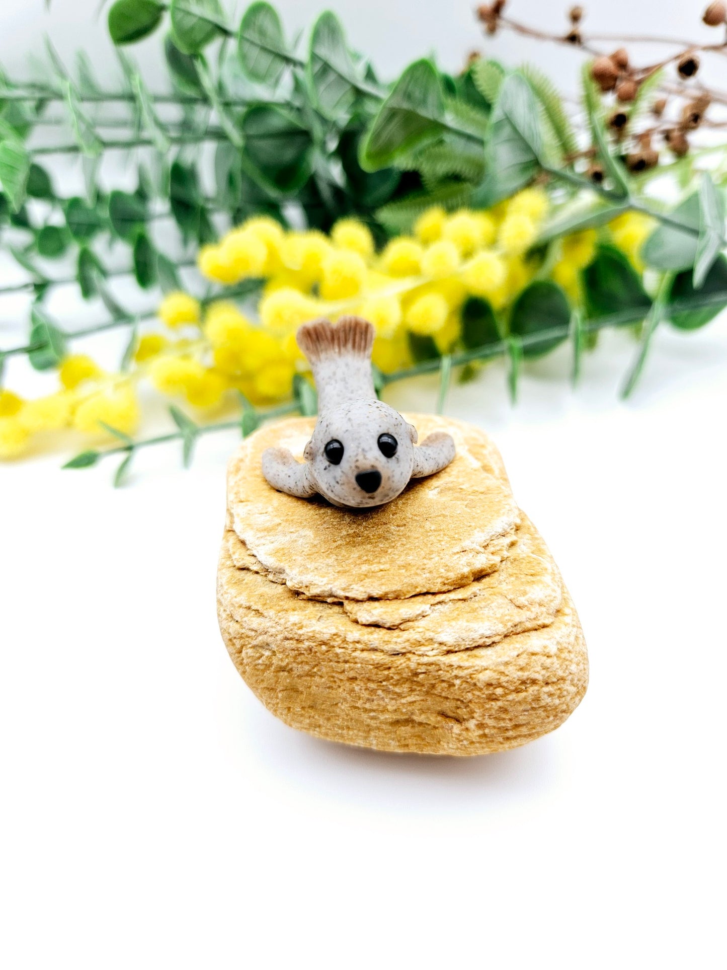 Sammy the seal on rock sculpture