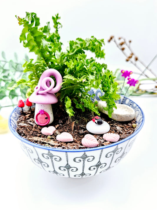 Miniature garden kit - lilac