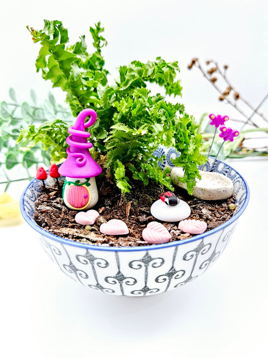 Miniature garden kit - purple shimmer
