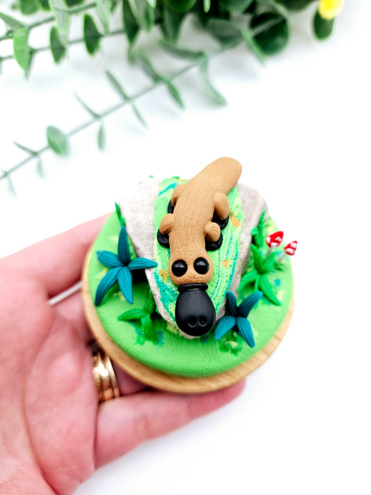 Platypus on rock with glass cloche