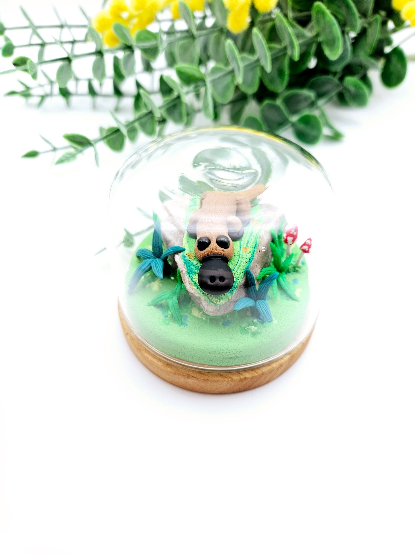 Platypus on rock with glass cloche