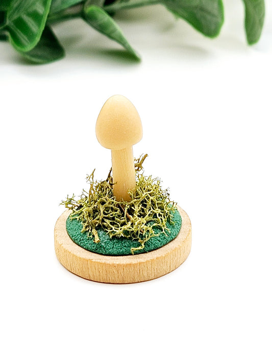 Glow in the dark mushroom with real moss