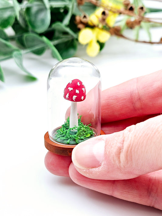 Mini amanita mushroom under glass