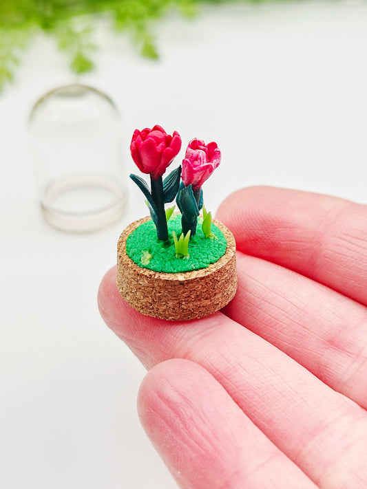Tiny tulips with glass cover - reds