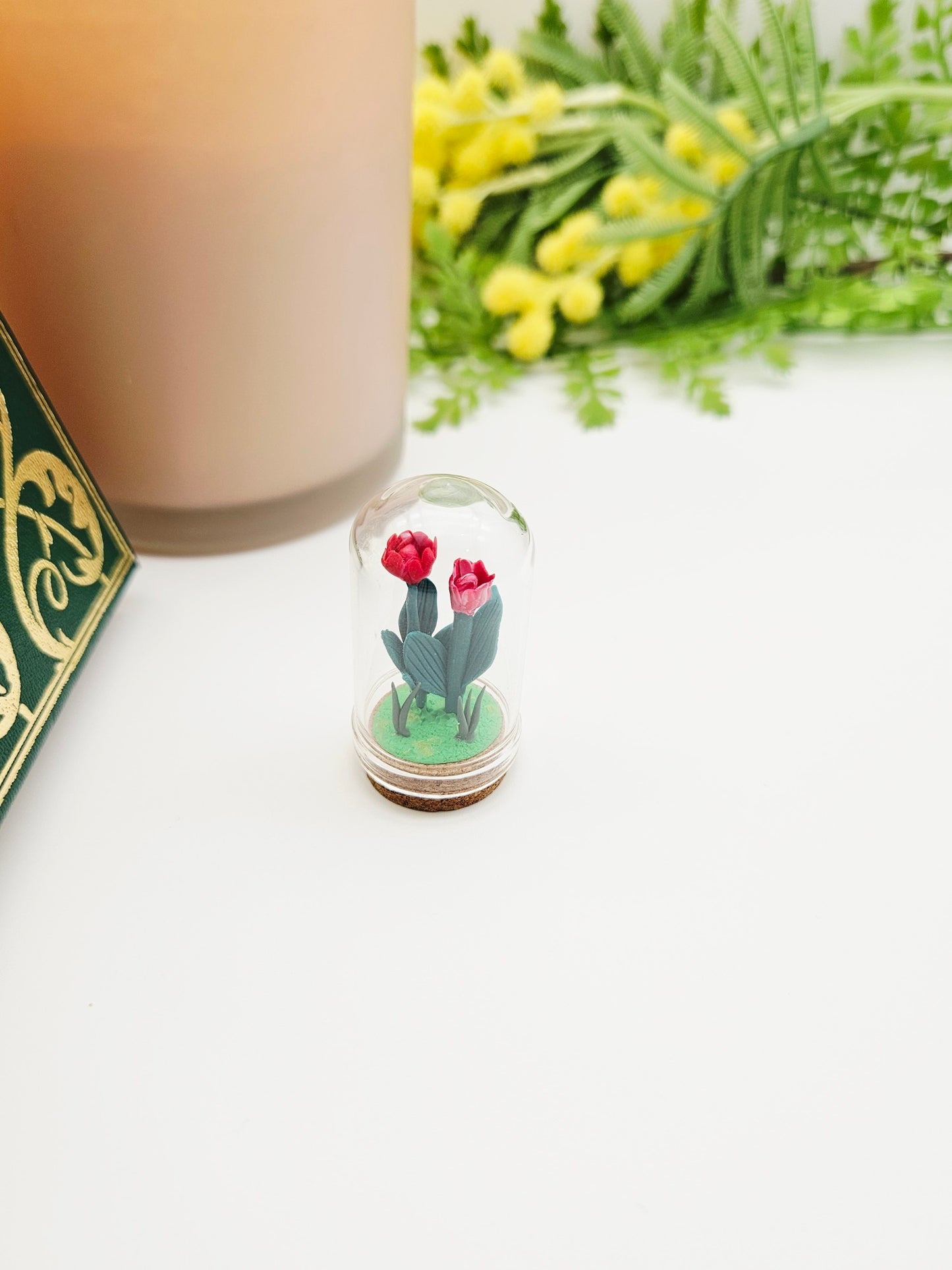 Tiny tulips with glass cover - red & red/white