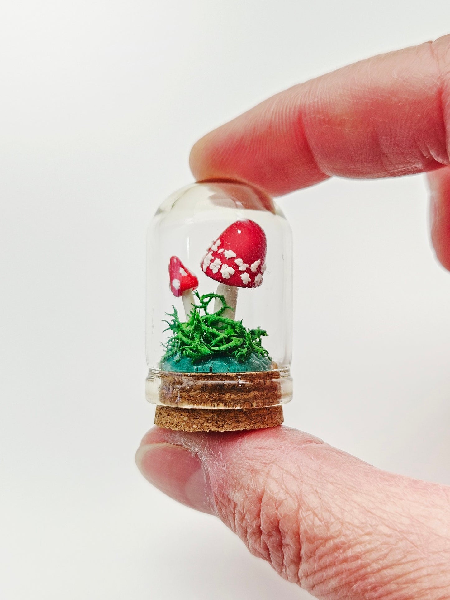 Mini amanita mushroom pair under glass