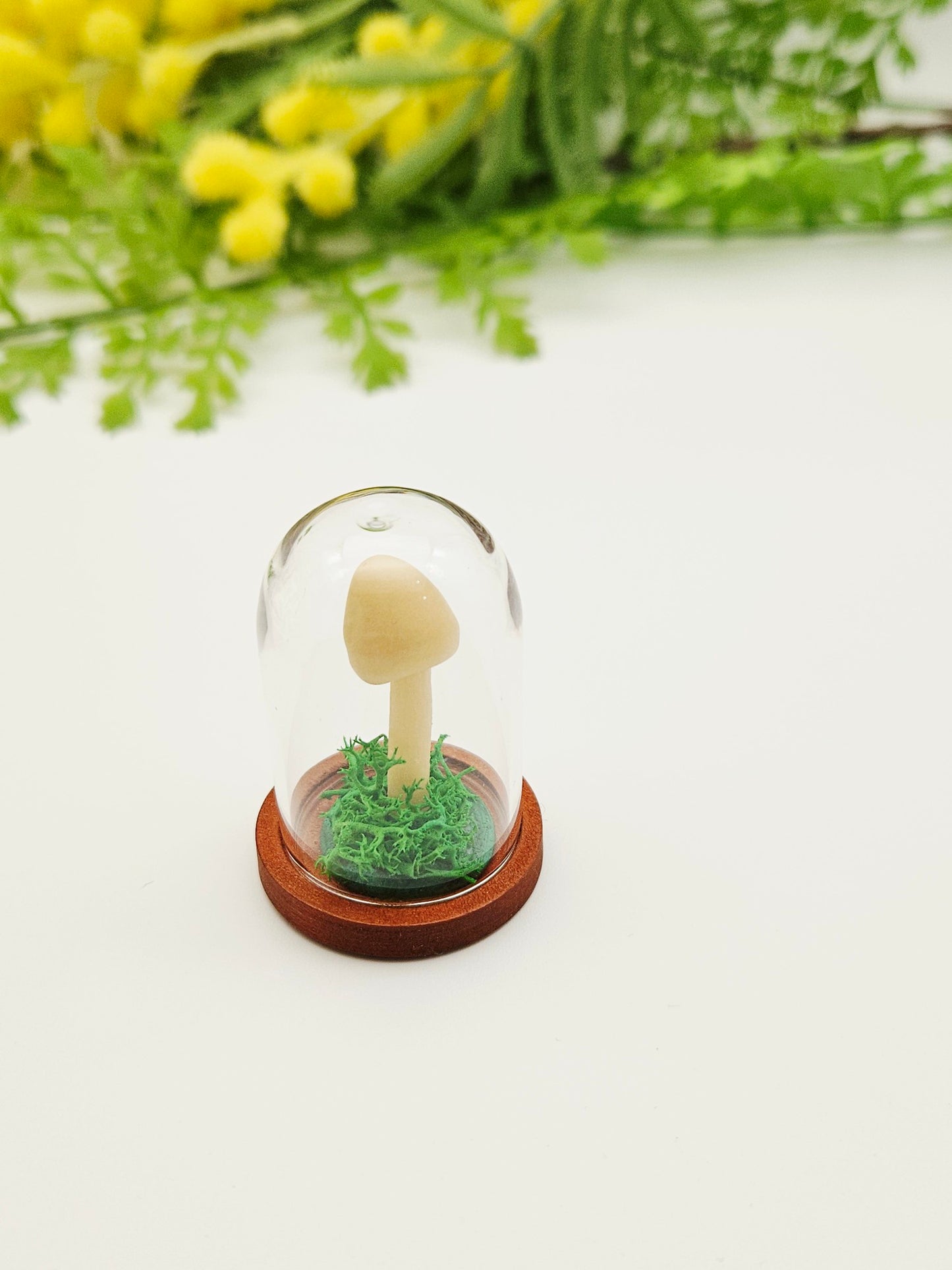 Glow in the dark mushroom with glass cloche