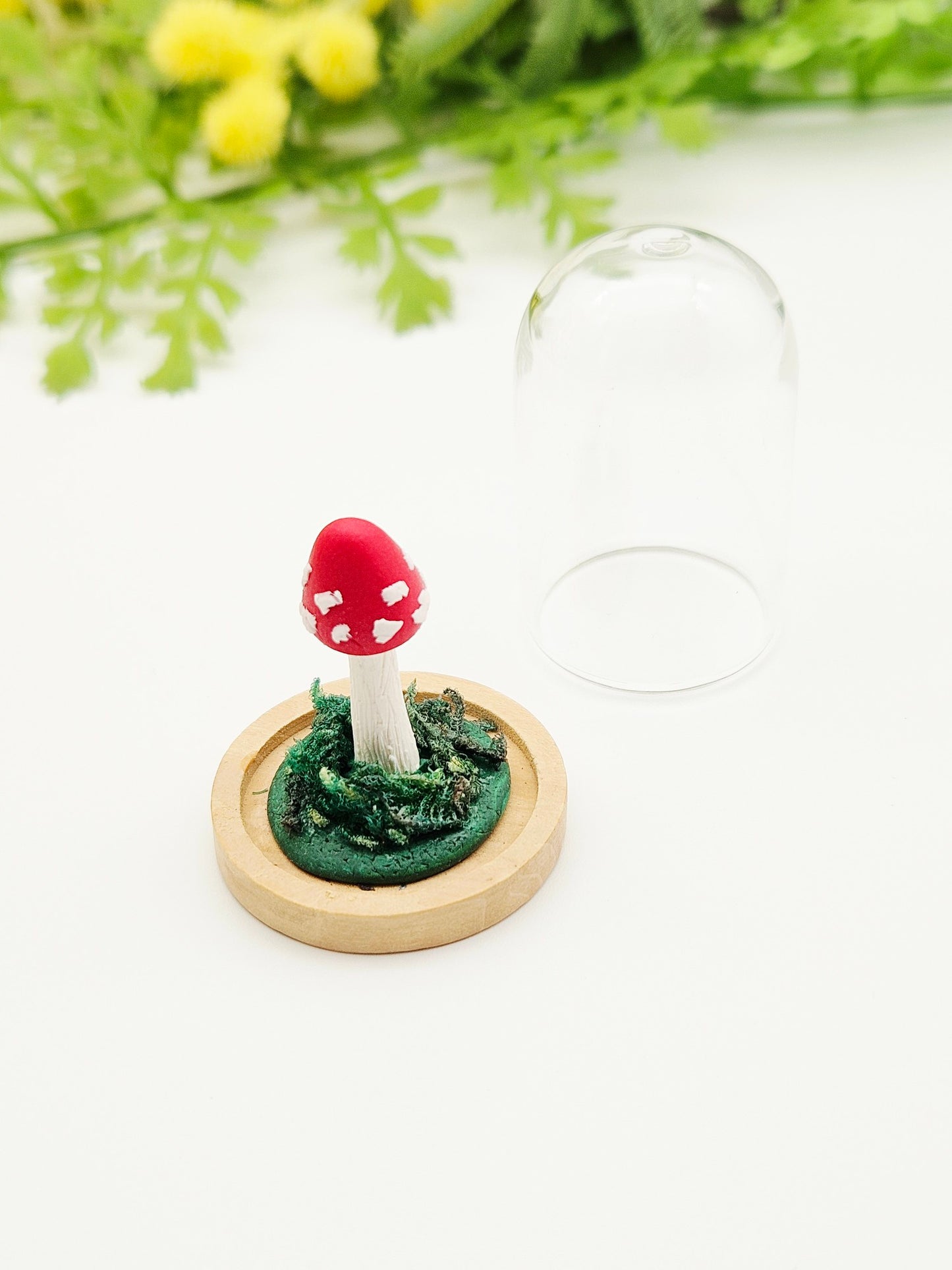 Mini mushroom under glass