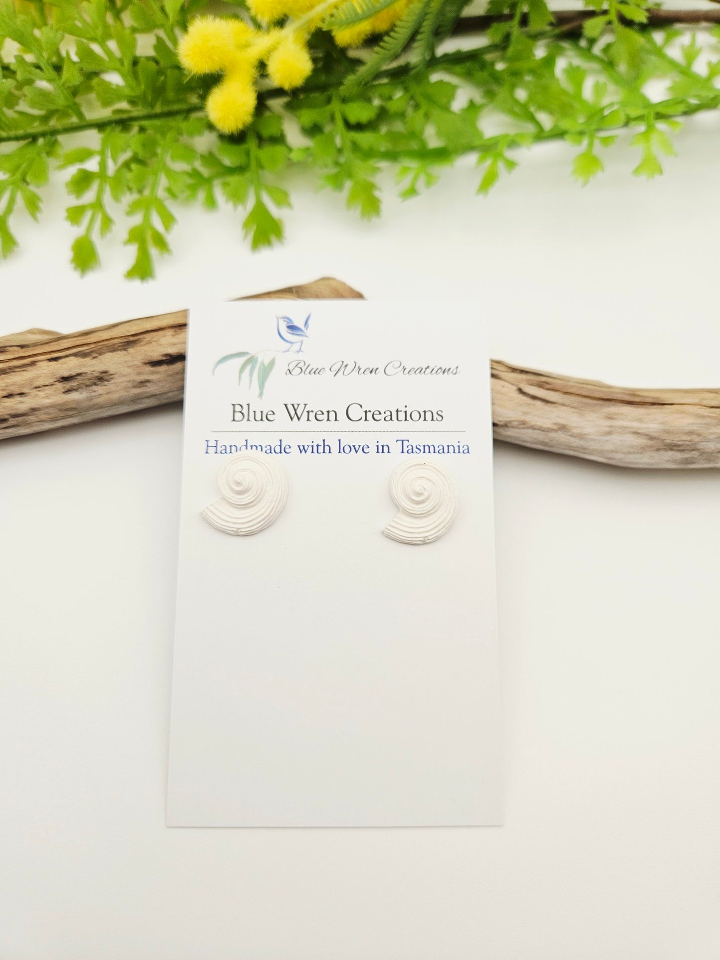 Earring studs - white snail shells