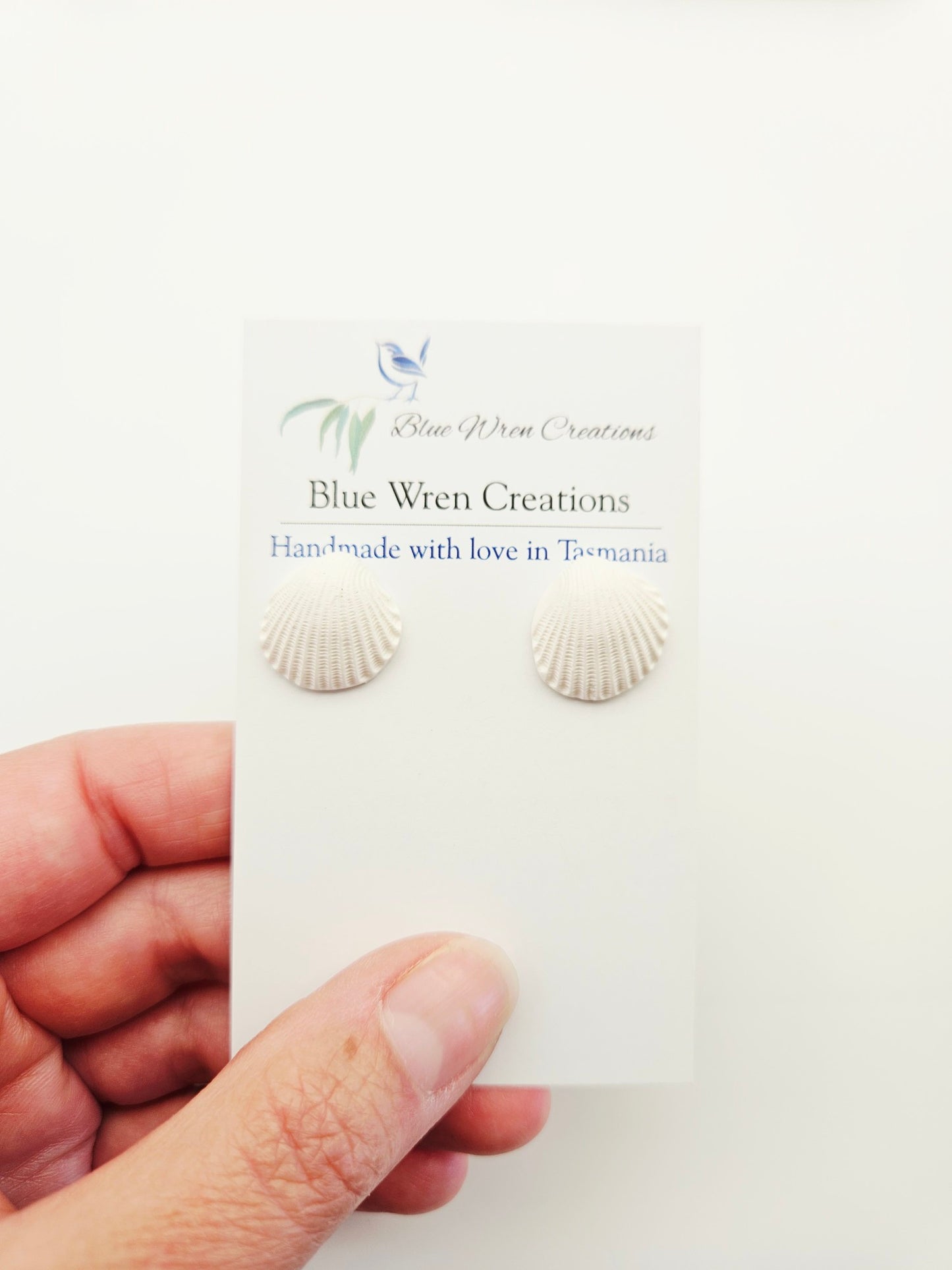 Earring studs - white cockle shells