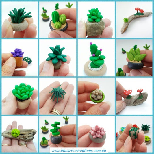 Workshop - miniature plants - 28/6/26