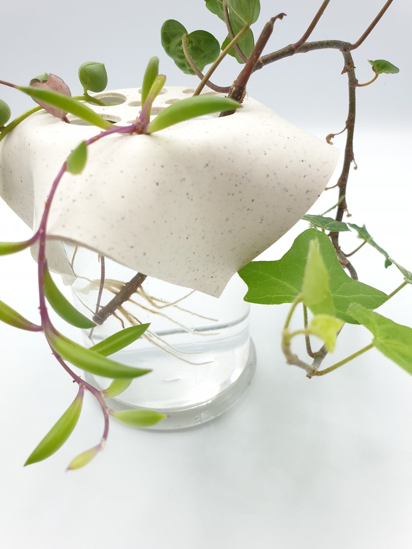 Cutting Keeper - Extra large Vintage glass water propagation station