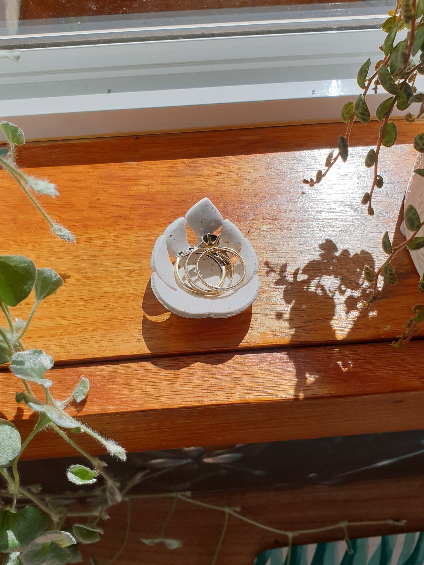 Ring dish - Monstera leaf