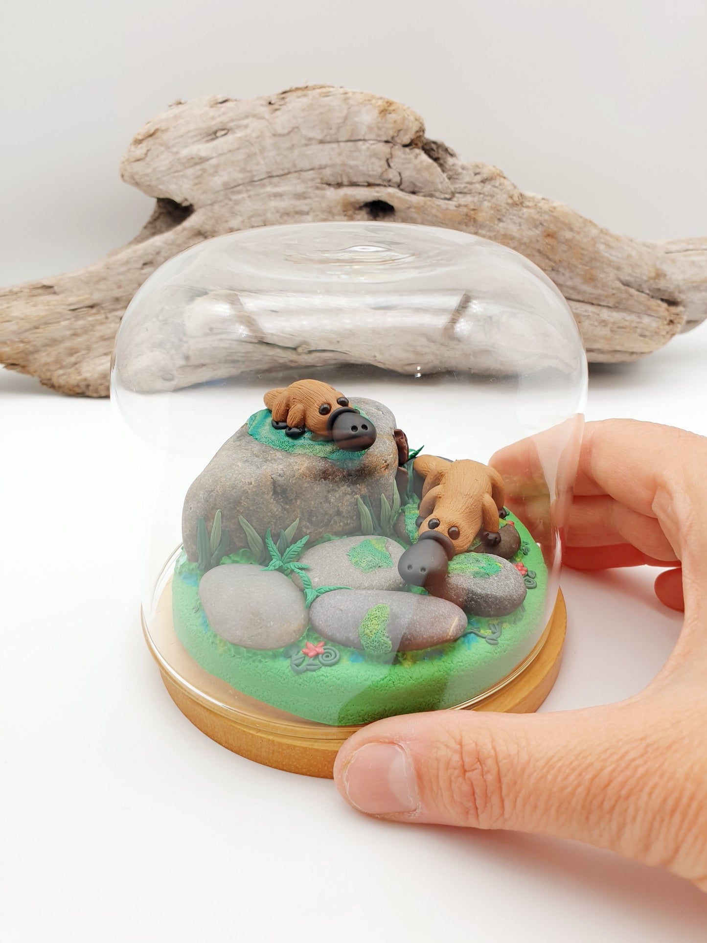 Platypus on rocks sculpture in glass cloche