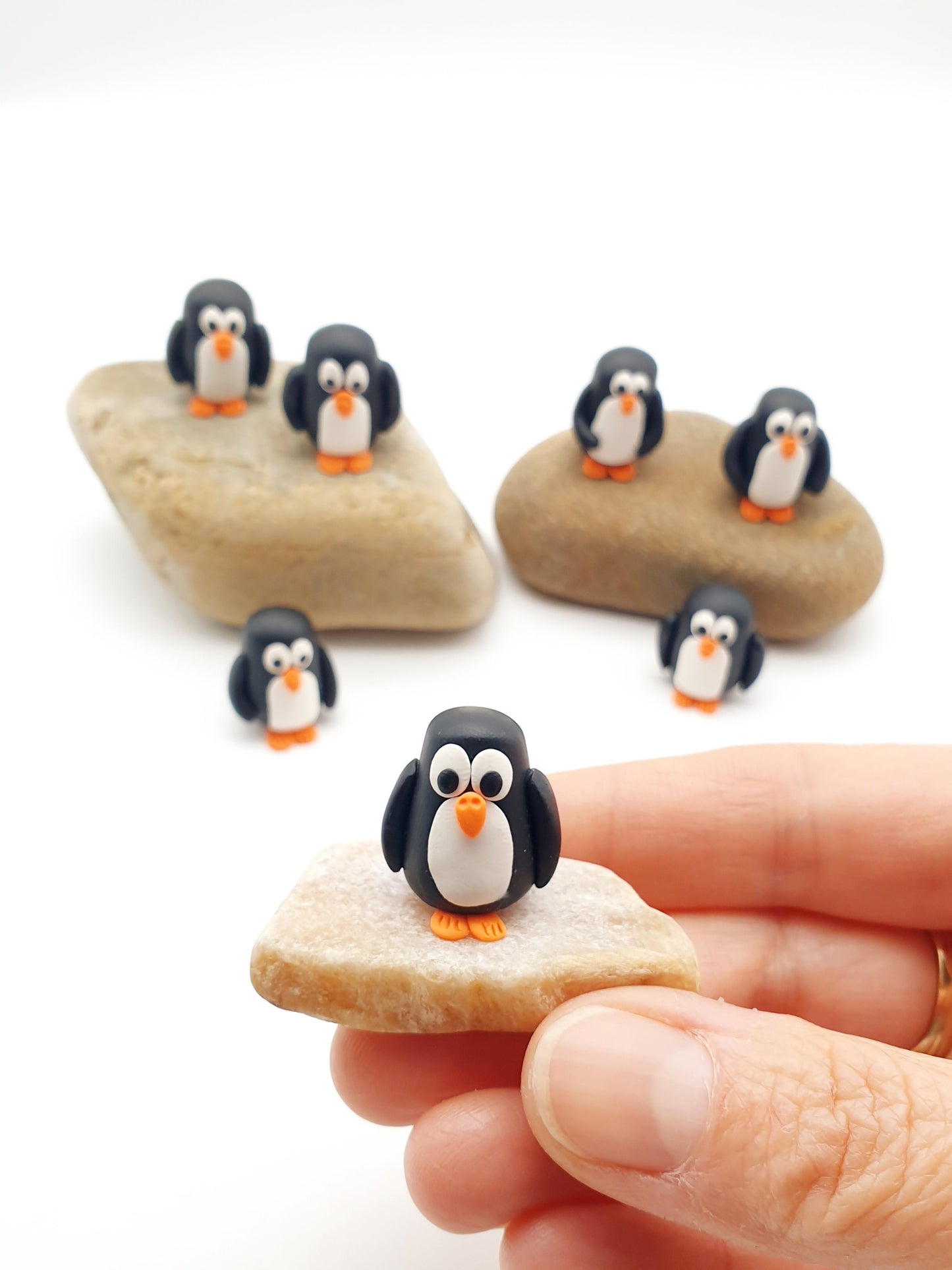 Workshop - Mini penguins - 23/2/25