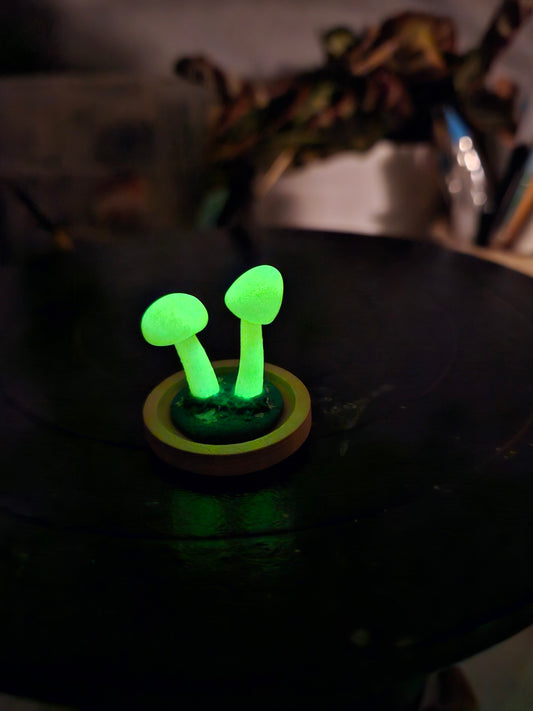 Glow in the dark mushrooms