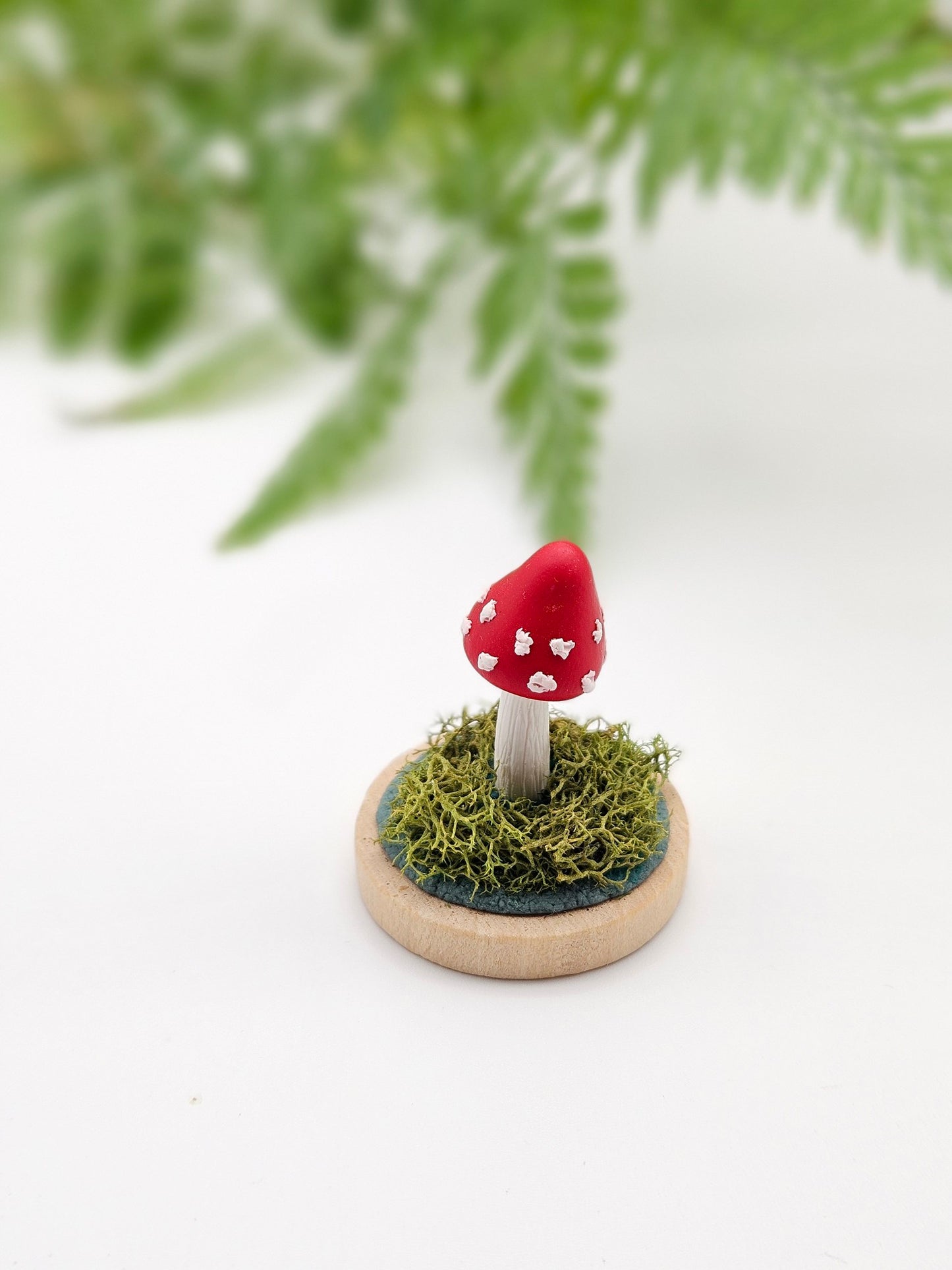 Mini amanita mushroom with real sage moss