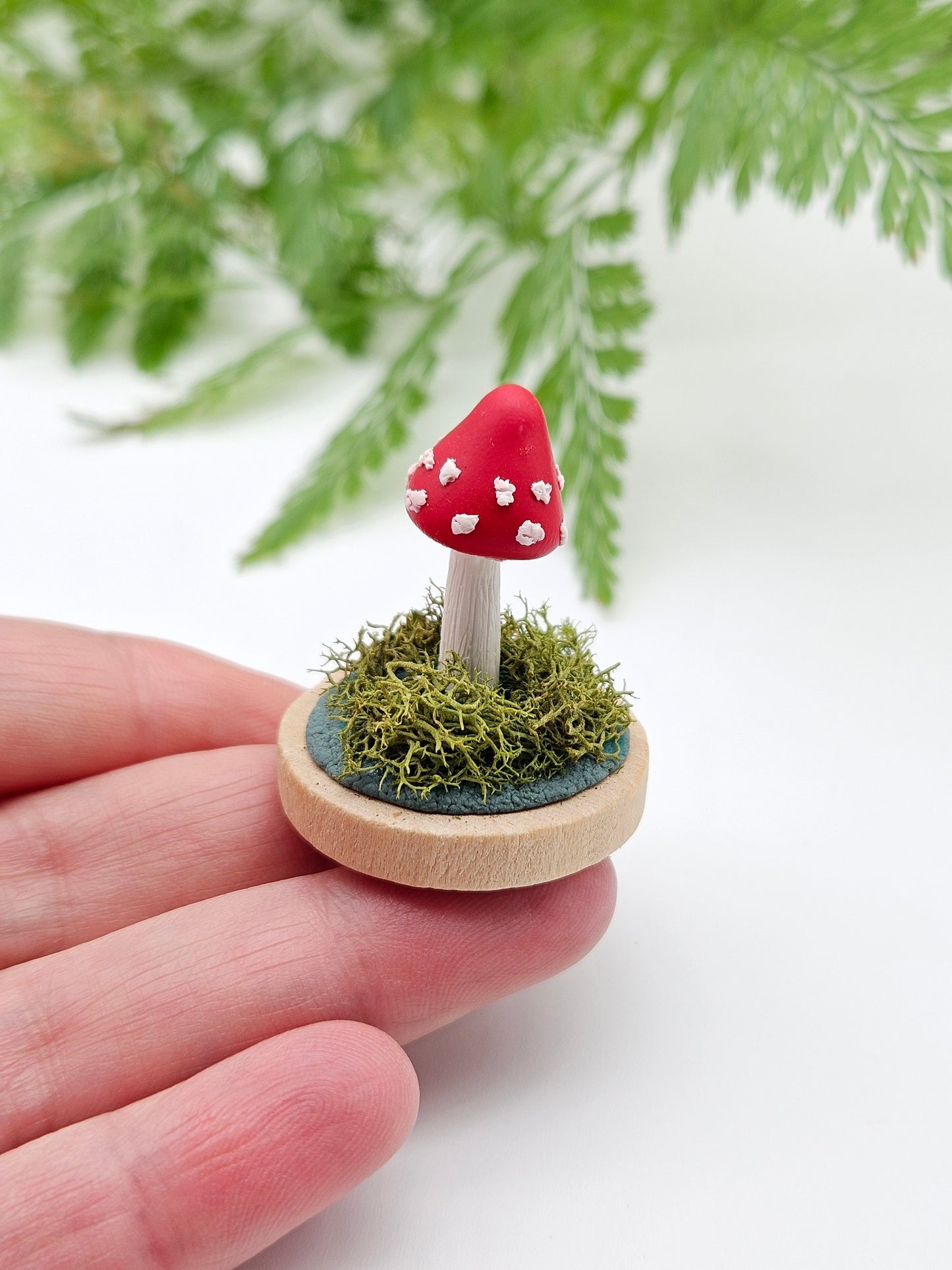 Mini amanita mushroom with real sage moss