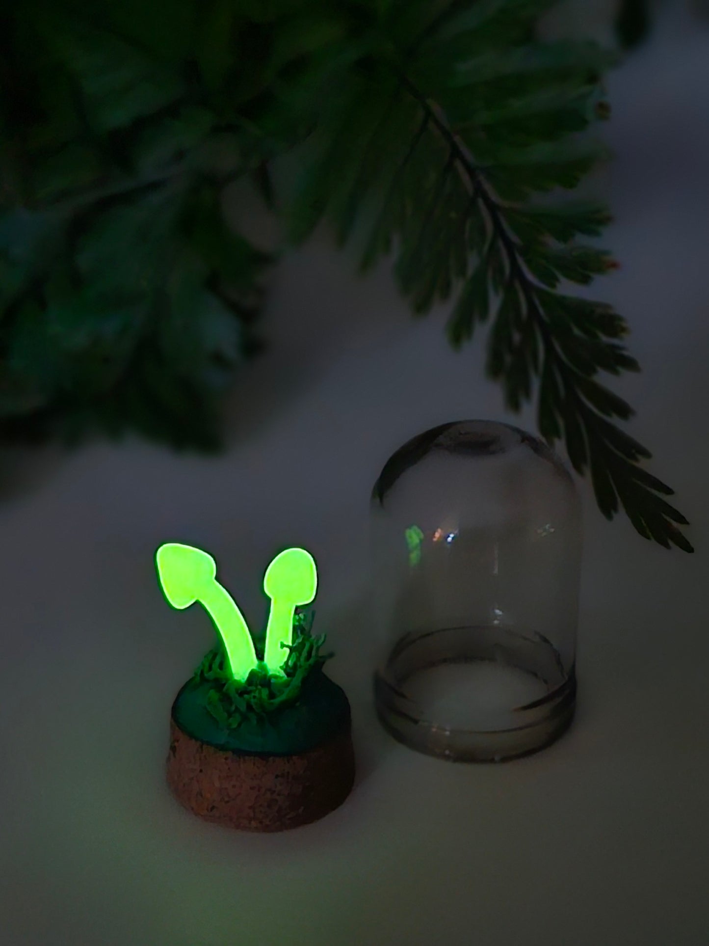 Glow in the dark mushrooms with glass cover