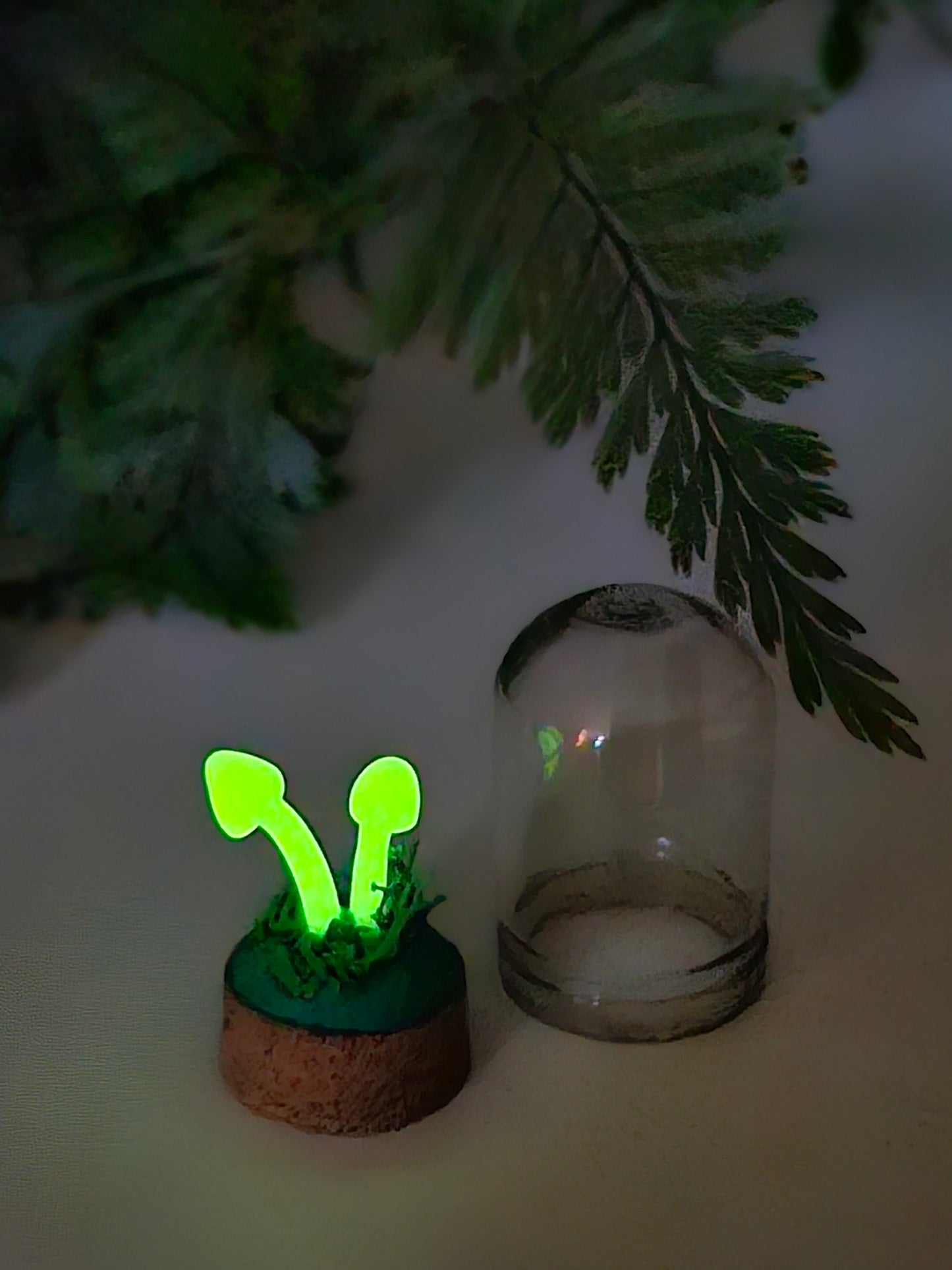 Glow in the dark mushrooms with glass cover