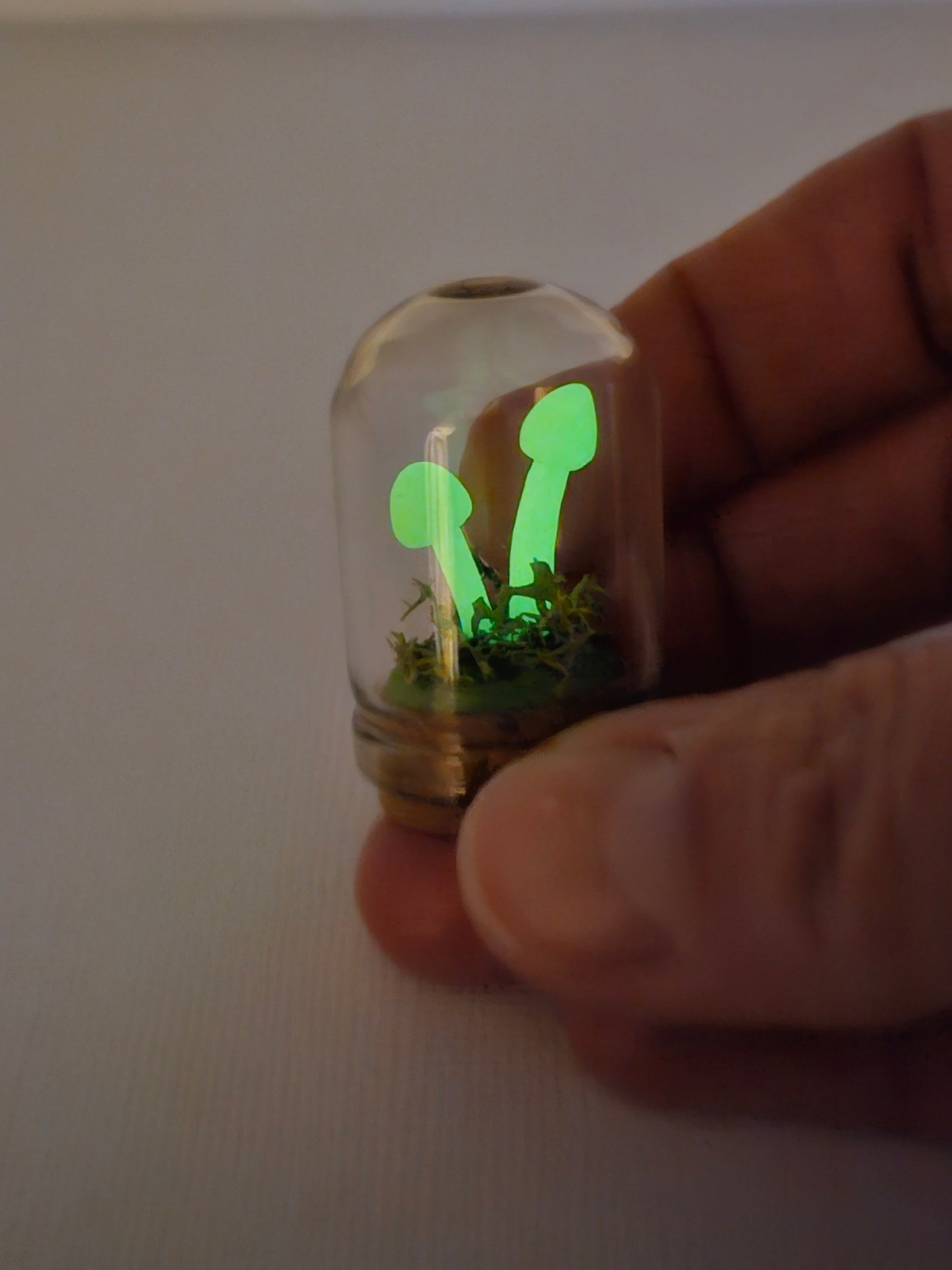 Mini glow in the dark mushrooms with glass cover