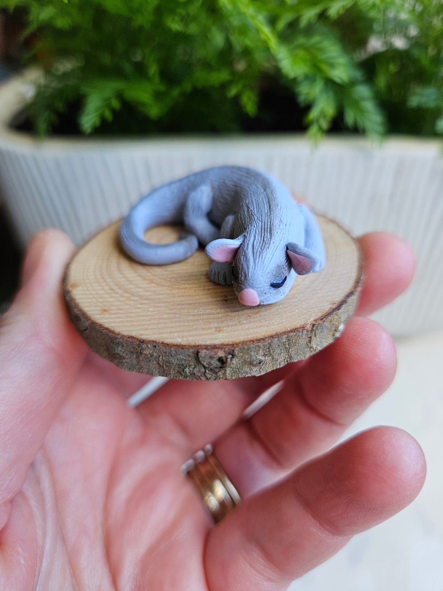 Ringtail possum miniature sculpture