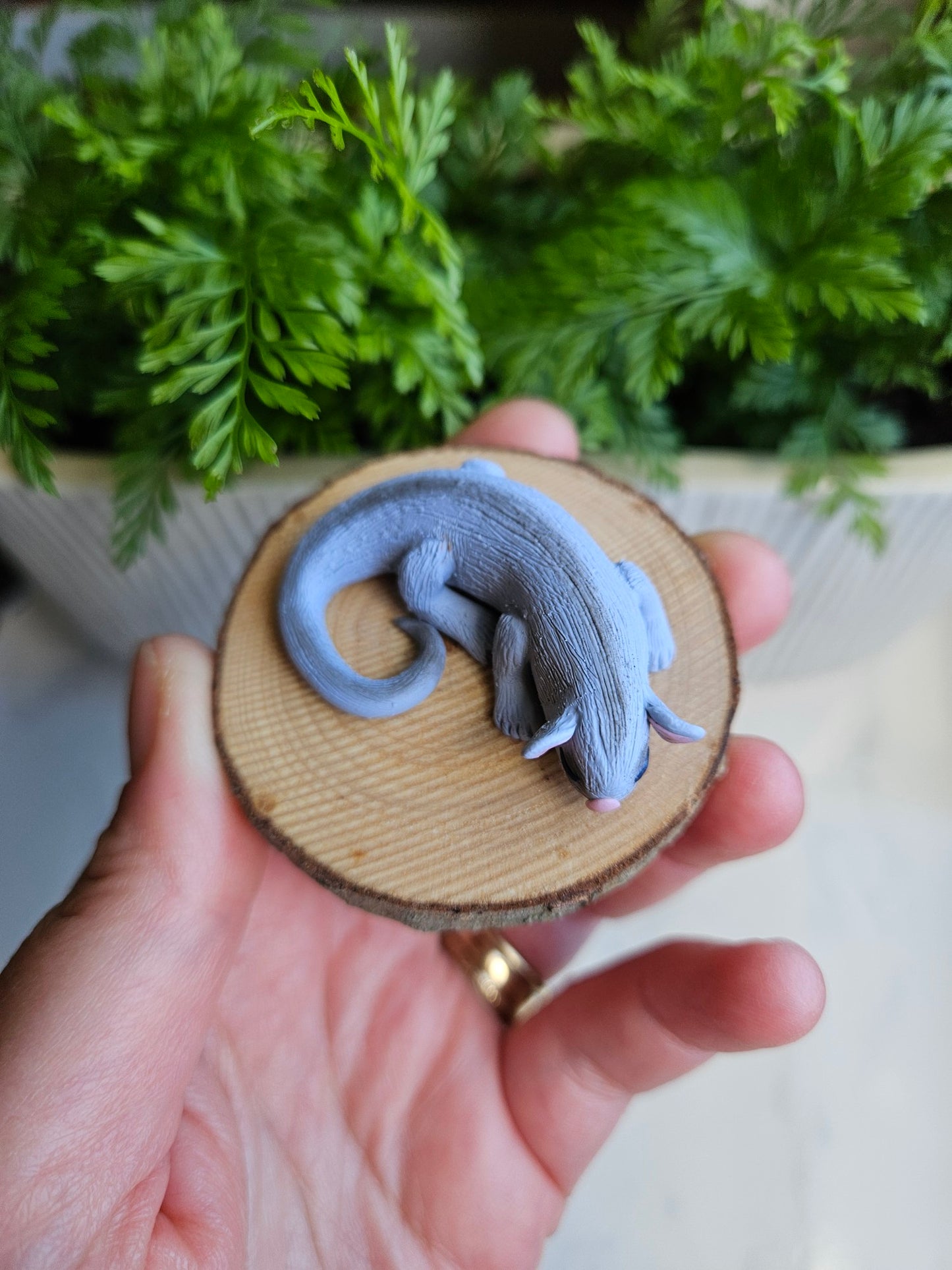 Ringtail possum miniature sculpture