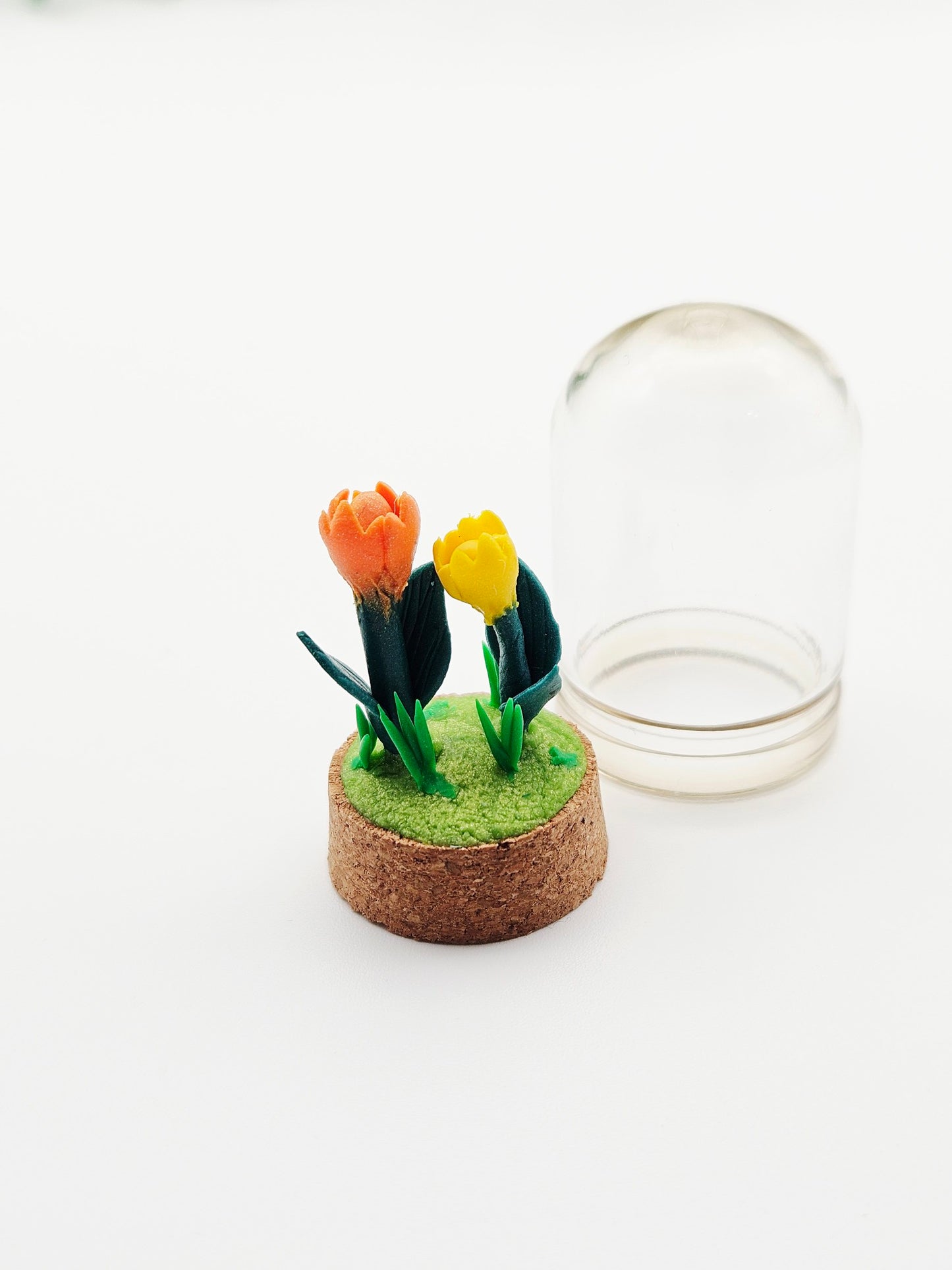 Tiny tulips with glass cover - yellow & orange