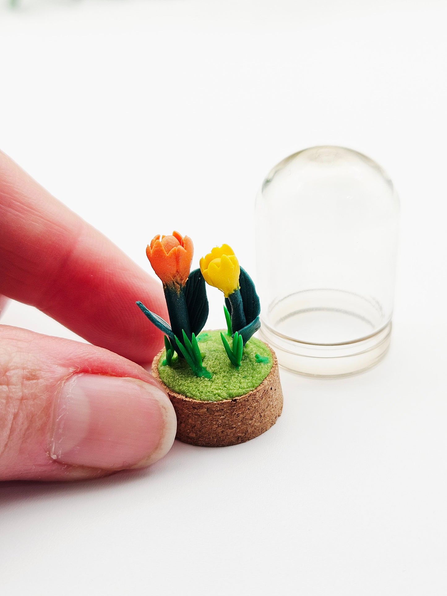 Tiny tulips with glass cover - yellow & orange