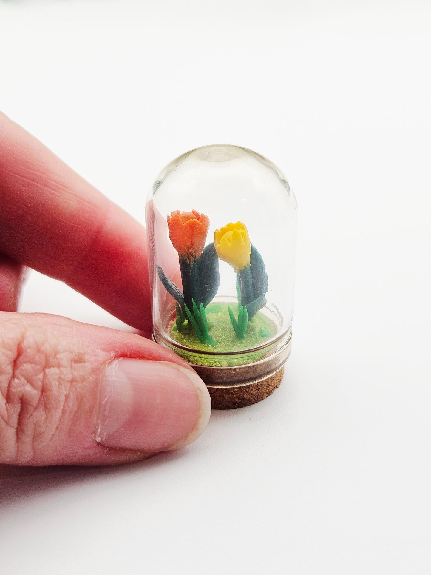 Tiny tulips with glass cover - yellow & orange