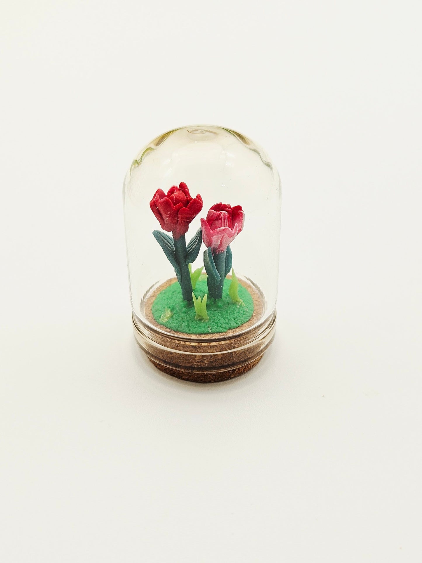 Tiny tulips with glass cover - reds
