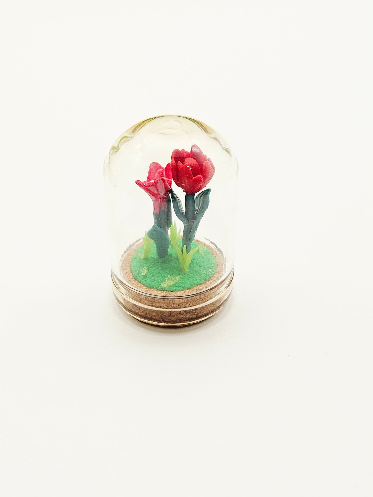 Tiny tulips with glass cover - reds