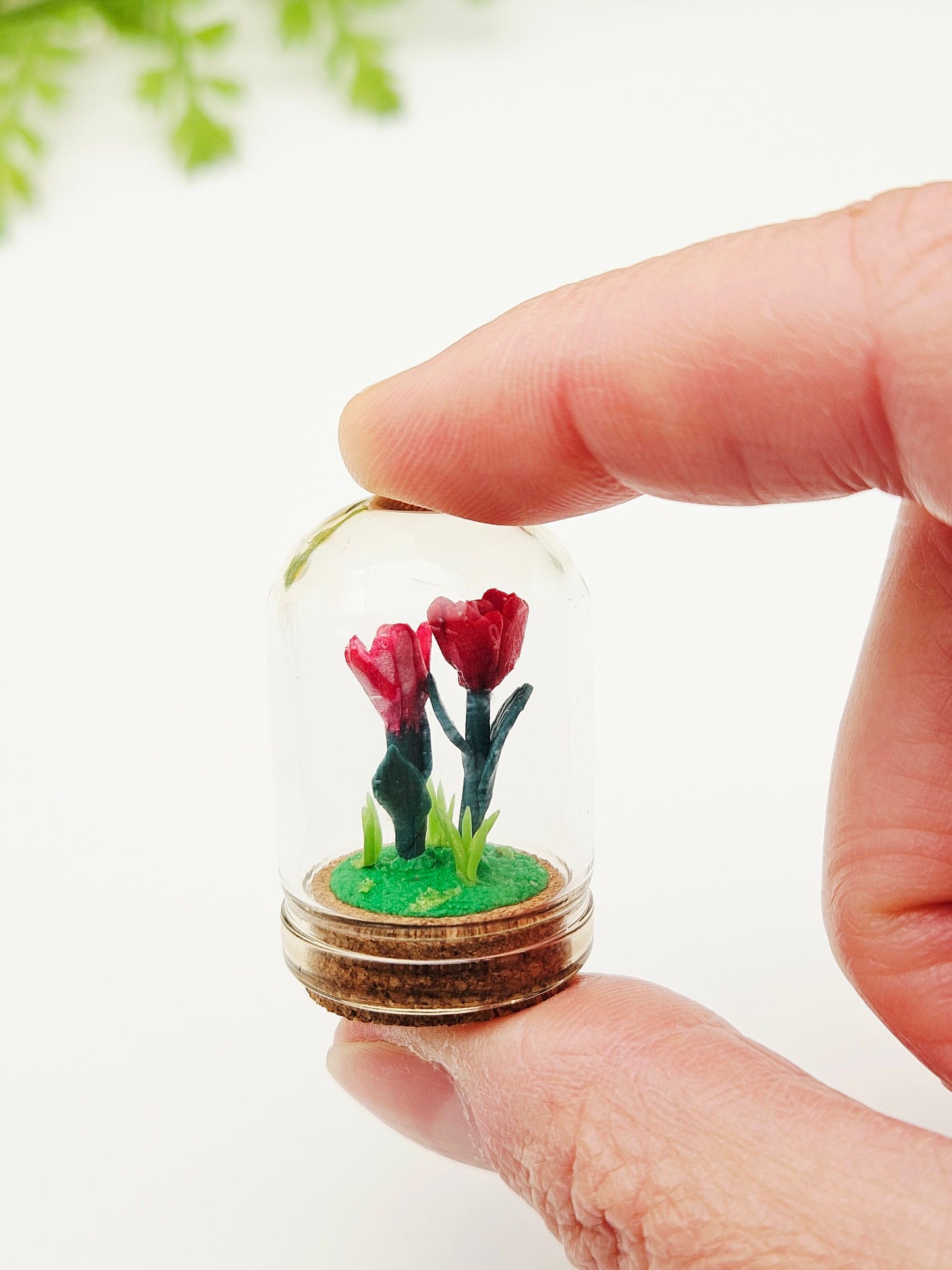 Tiny tulips with glass cover - reds