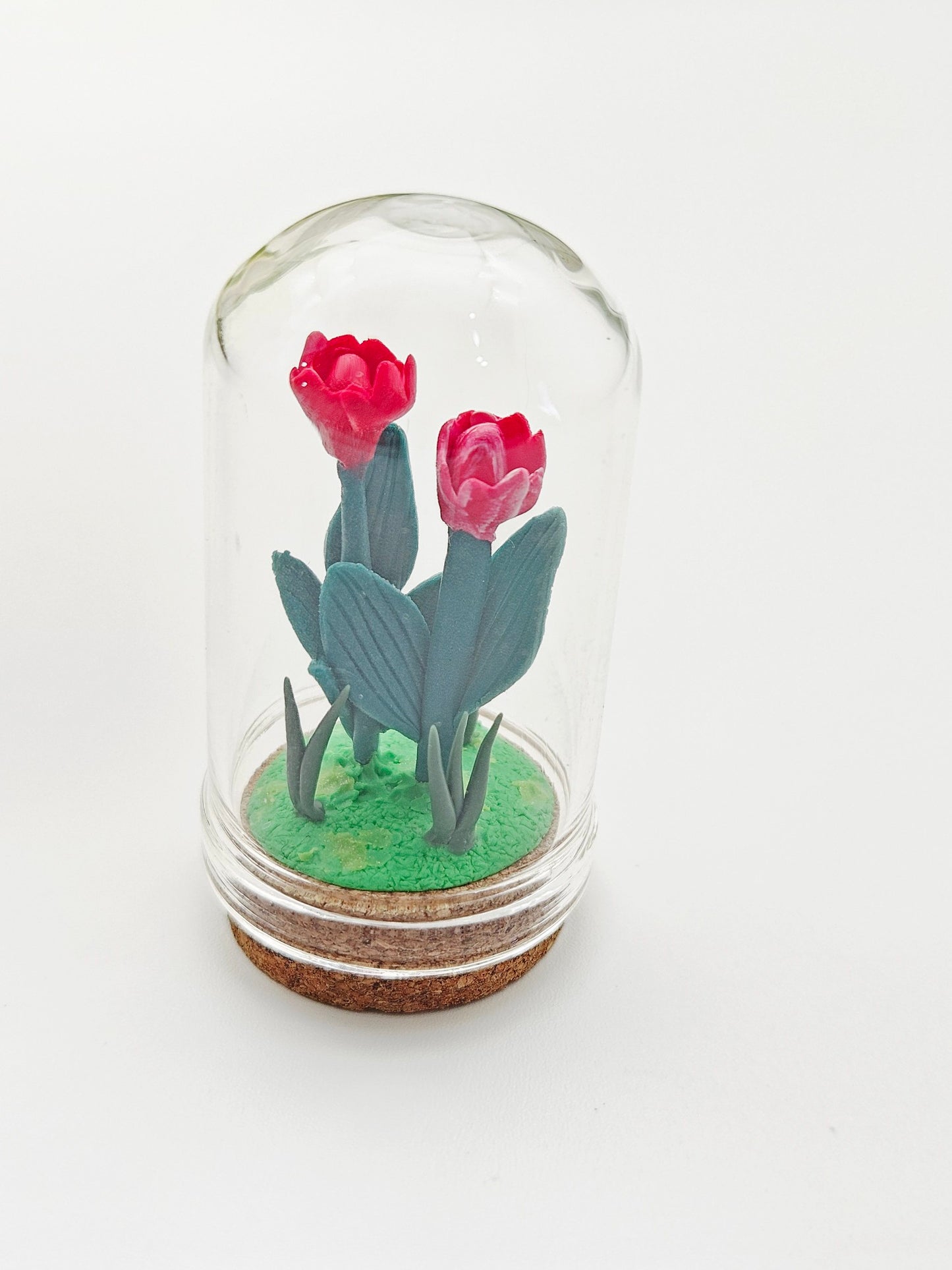 Tiny tulips with glass cover - red & red/white