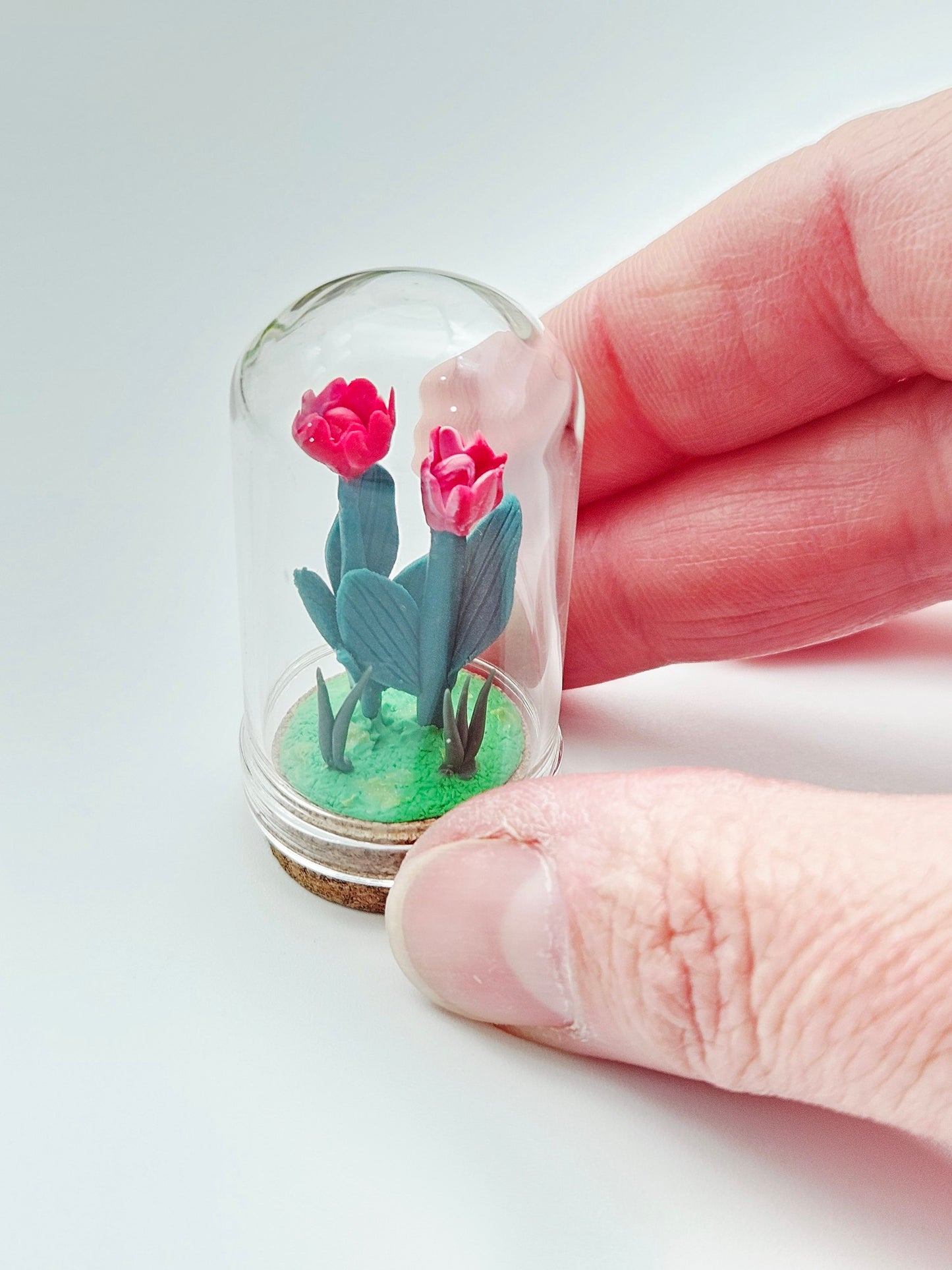 Tiny tulips with glass cover - red & red/white