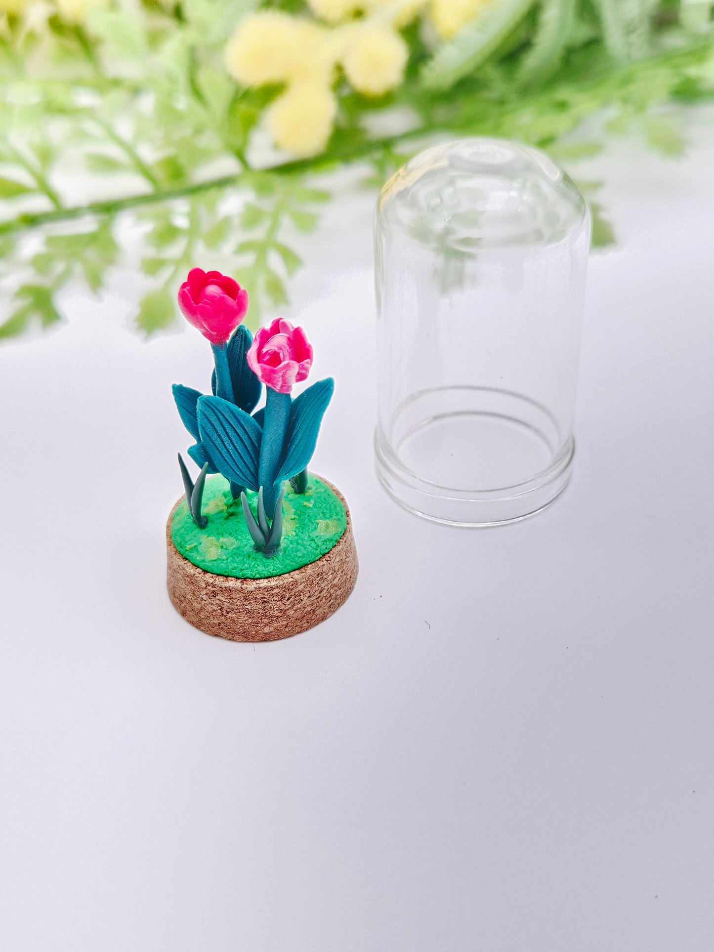 Tiny tulips with glass cover - red & red/white