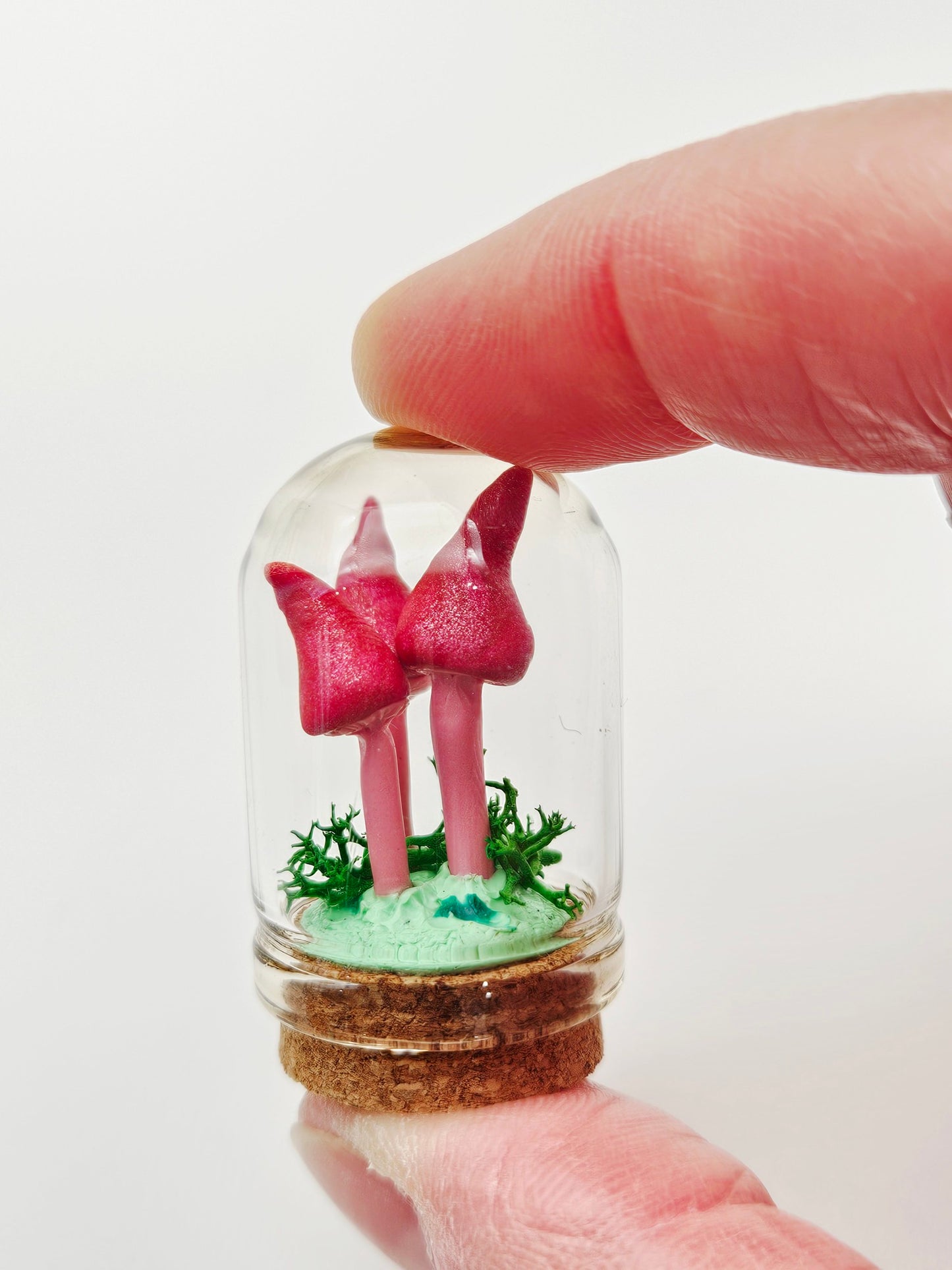 Mini pink mushroom trio under glass