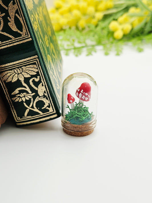 Mini amanita mushroom pair under glass