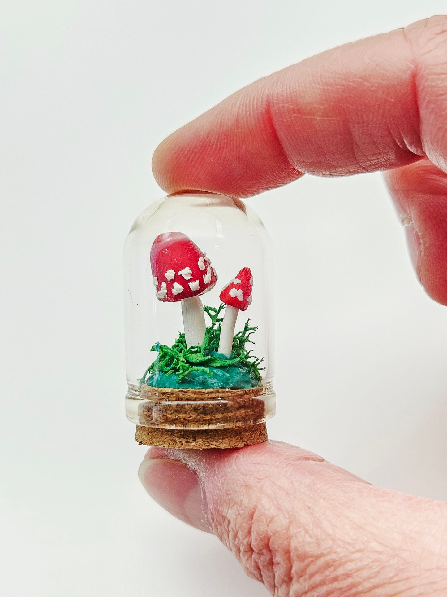 Mini amanita mushroom pair under glass