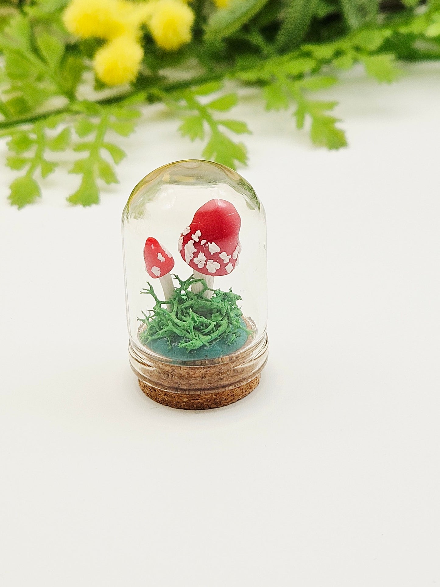 Mini amanita mushroom pair under glass