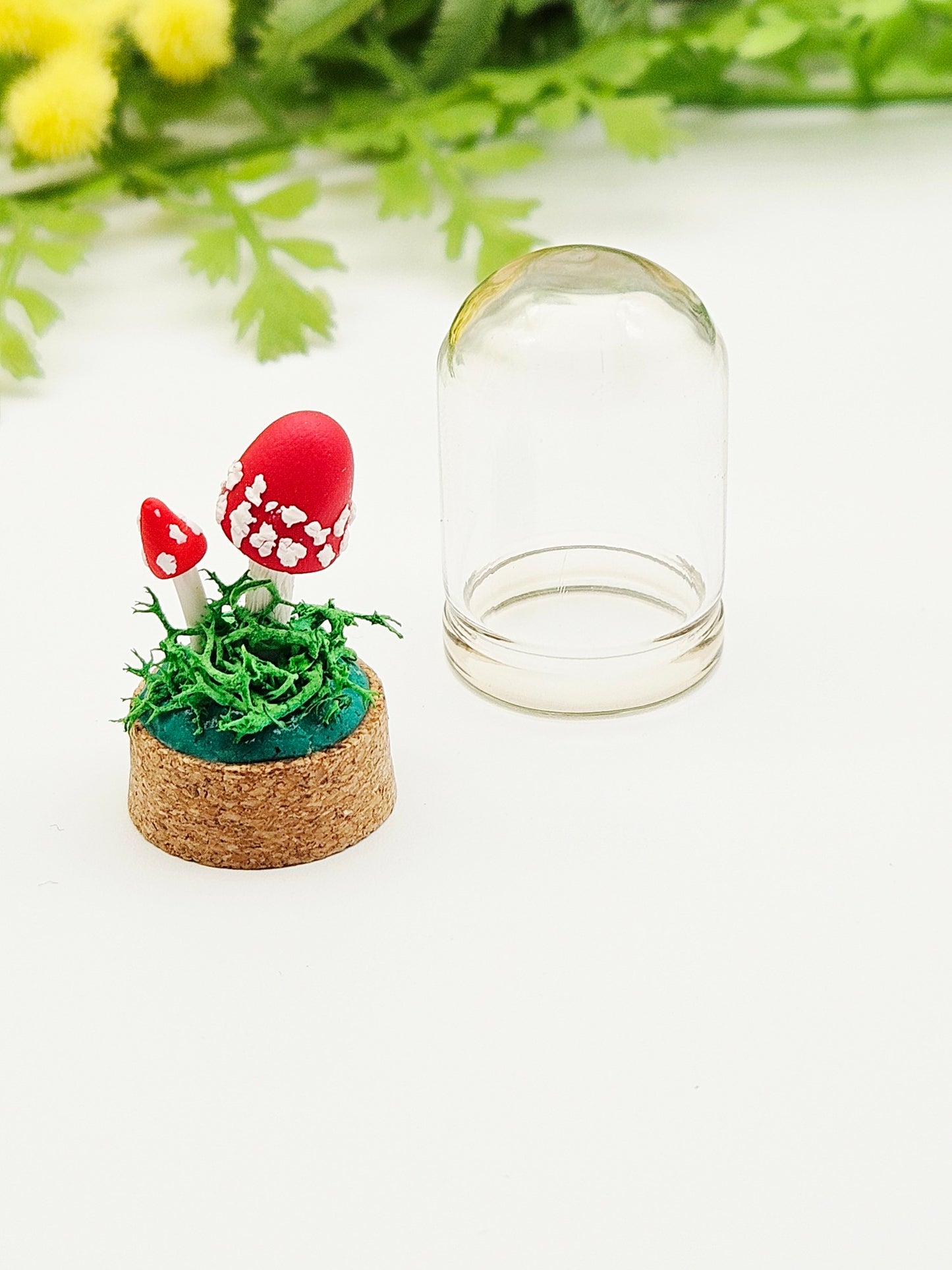 Mini amanita mushroom pair under glass
