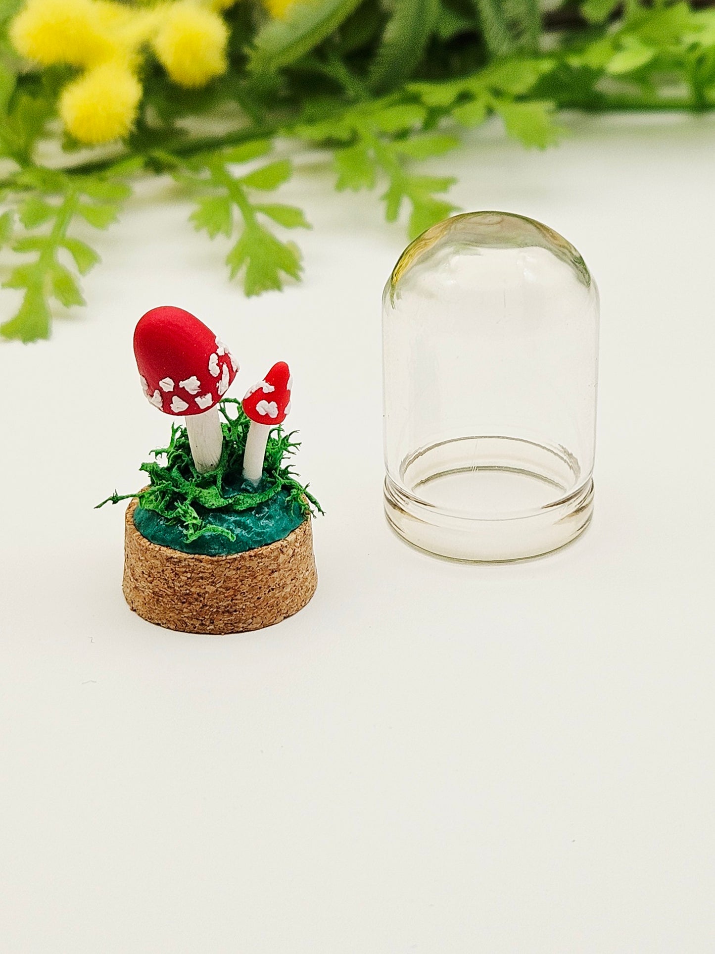 Mini amanita mushroom pair under glass