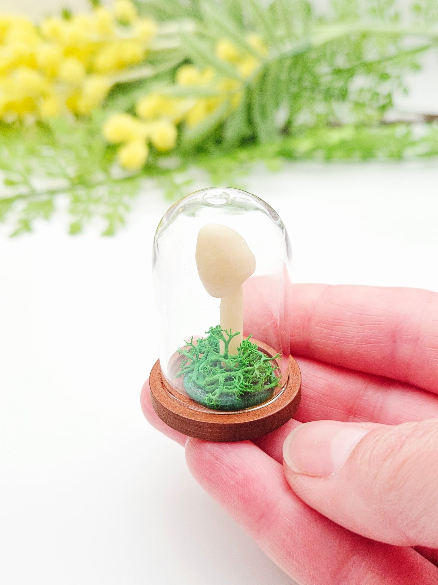 Glow in the dark mushroom with glass cloche