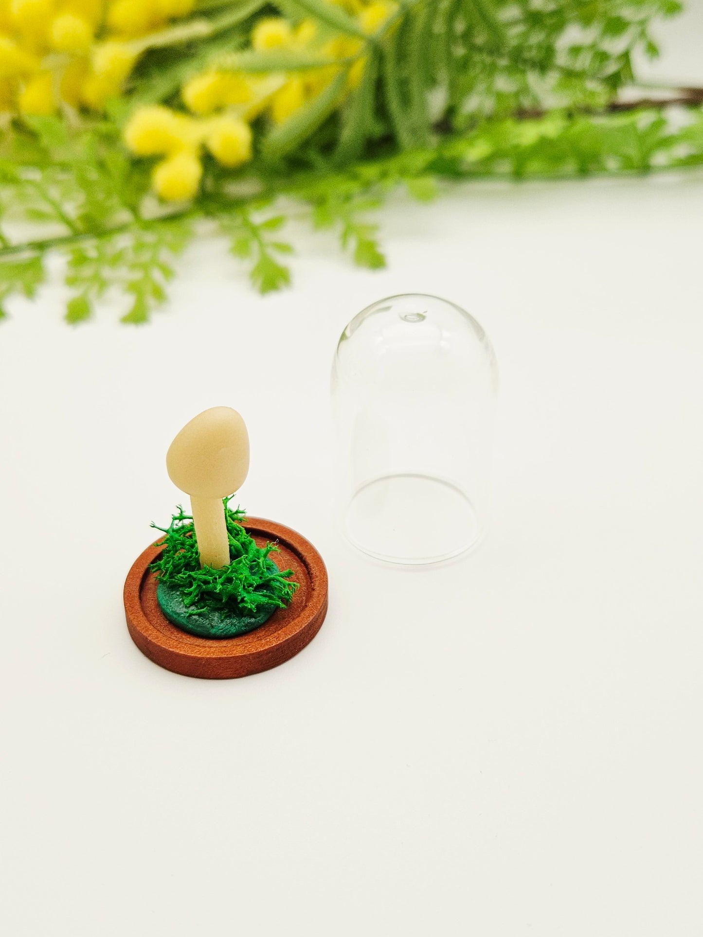Glow in the dark mushroom with glass cloche