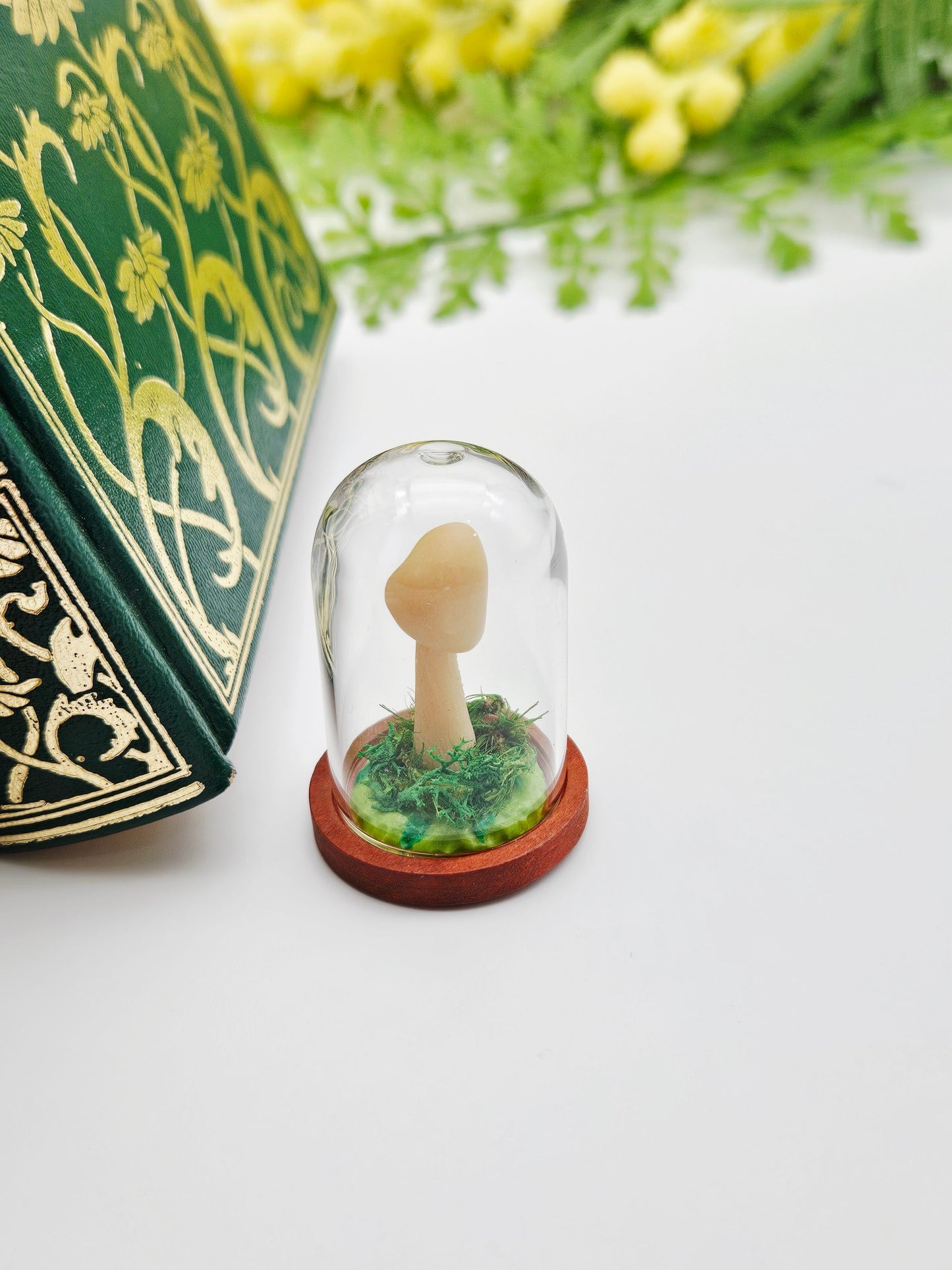 Glow in the dark mushroom under glass