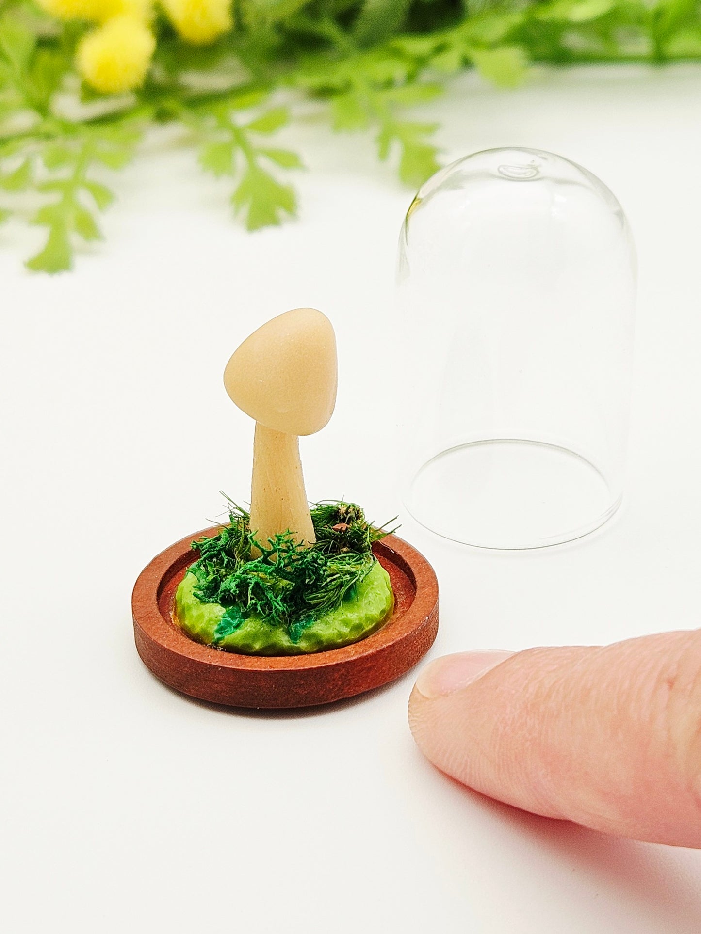 Glow in the dark mushroom under glass