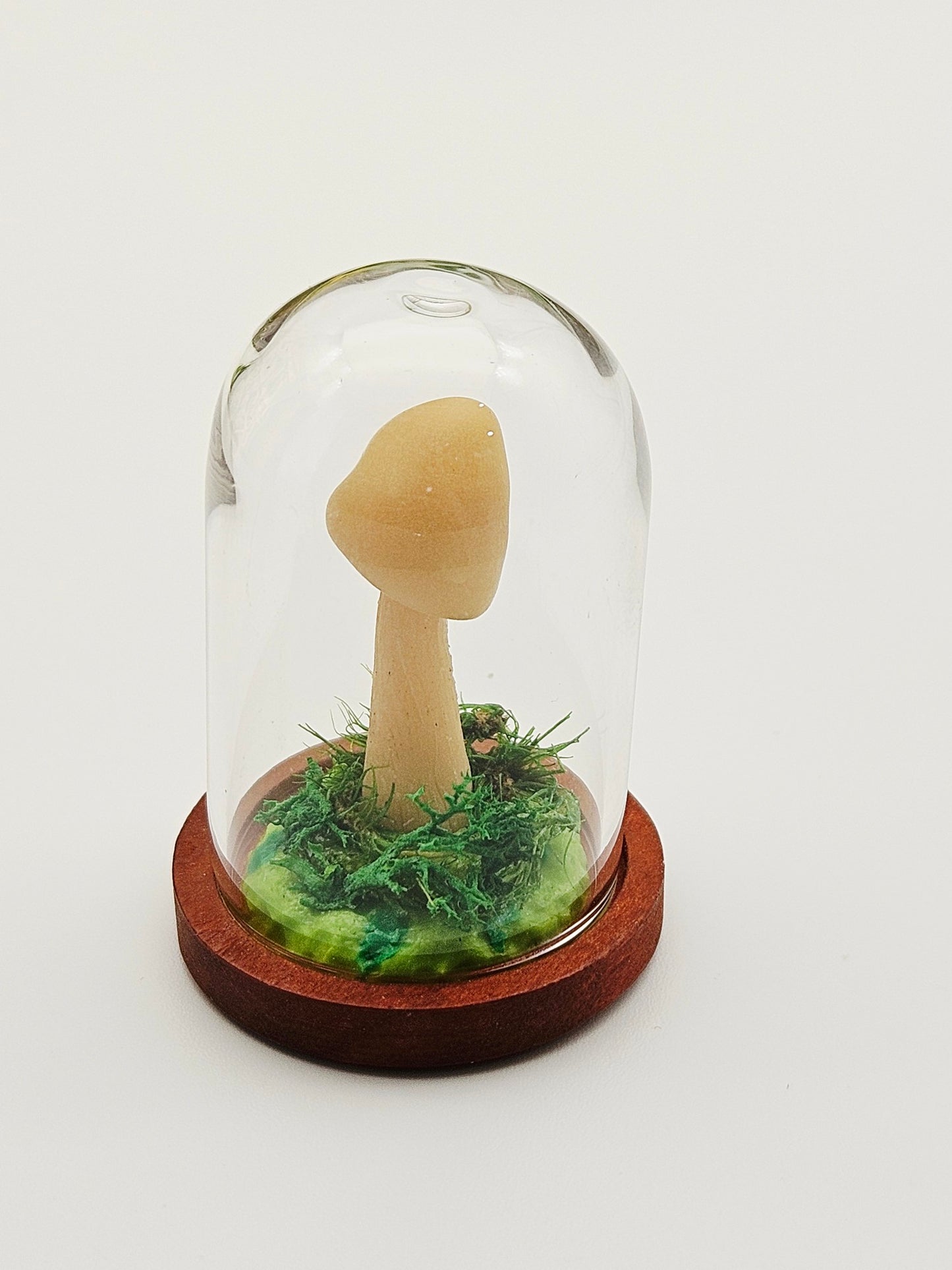 Glow in the dark mushroom under glass